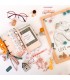 Curso online Clean & Sweet: estructura de acetato con encuadernación de anilla independiente